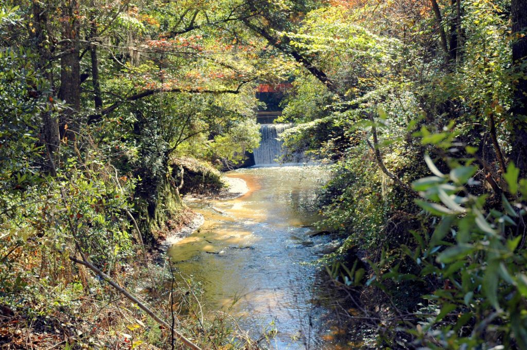 valley-creek-at-kenans-mill-dam